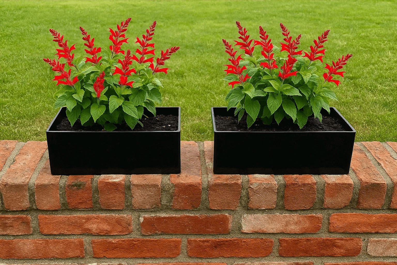 Bylinkový truhlík – inspirace